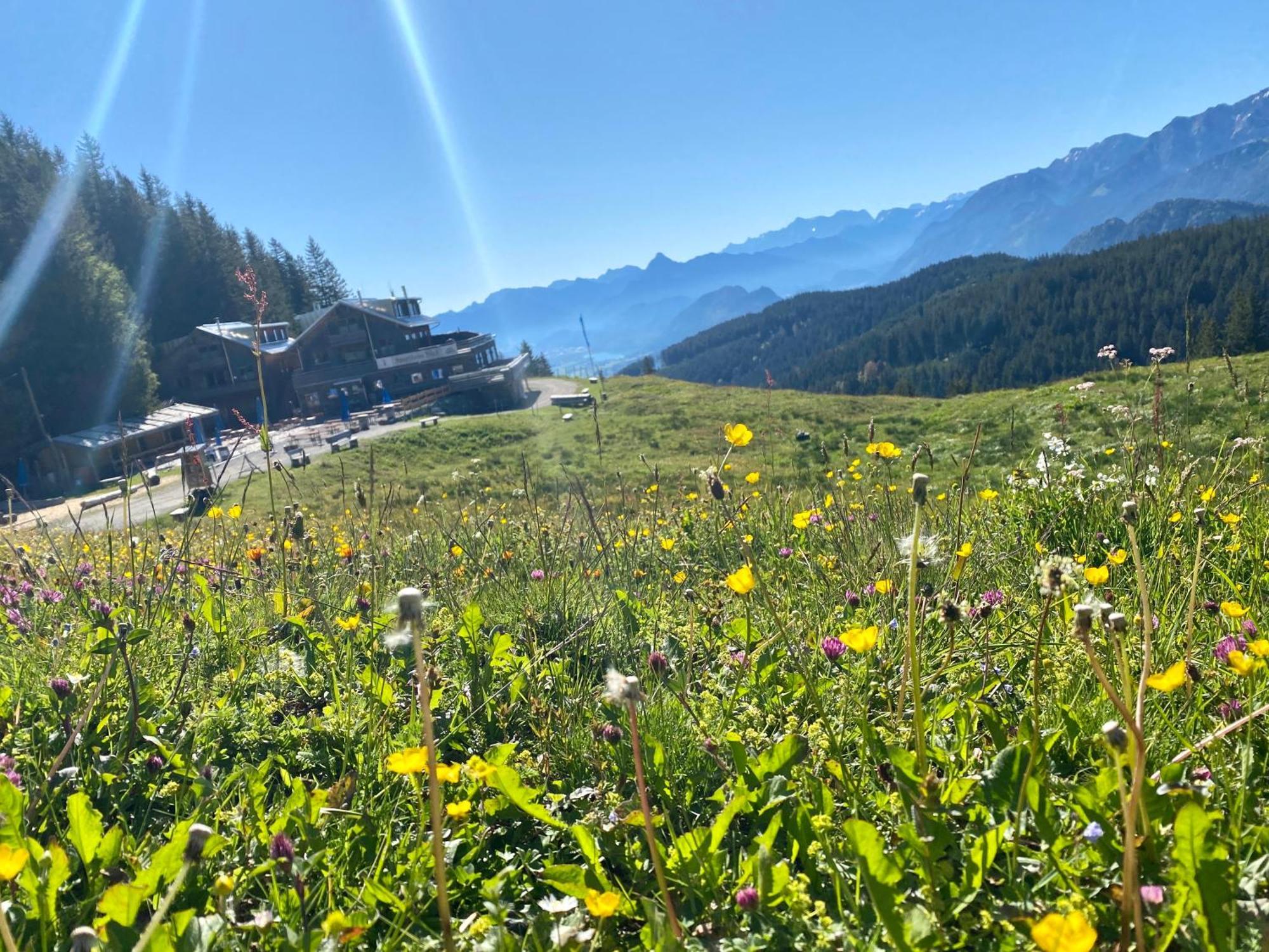 Ferienhaus Sommer Pfronten Exterior foto